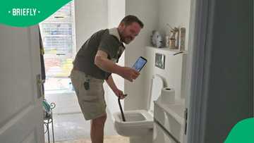 Viral snake rescue in Riebeek Kasteel toilet leaves South Africans stunned