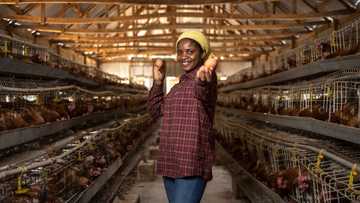 My parents demanded that I marry to keep the family business, so I chose a farm girl to spite them