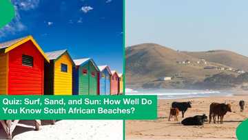 Quiz: Surf, Sand, and Sun: How Well Do You Know South African Beaches?