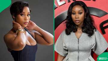 Kwanele Mthethwa's snatched figure sparks surgery debate on social media