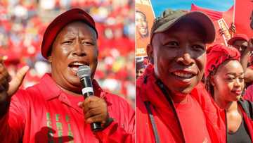 Julius Malema fan convinced EFF leader is prophet, Mzansi roasts man over outrageous claim