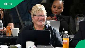 Glynnis Breytenbach opens up after DA appoints her the party's Parliamentary chief whip