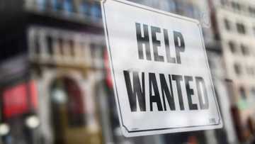 'Help wanted': businesses struggle to fill jobs