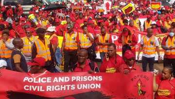 Police and prison wardens affiliated to Popcru march to Union Buildings for better salaries and not stipends