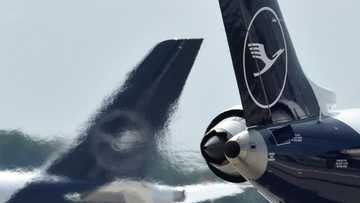 European airlines hit by 'greenwashing' complaint