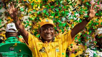 President Cyril Ramaphosa’s move to declare 27 December a public holiday leaves Mzansi fuming