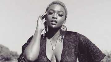 Amanda Black weighs in on lack of service delivery in SA, says govt is captured