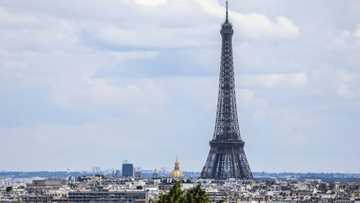 Paris says tough Airbnb rules 'working' as violations fall