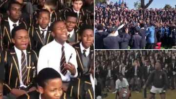Mzansi spirit: 4 Viral videos prove South African schools are flames