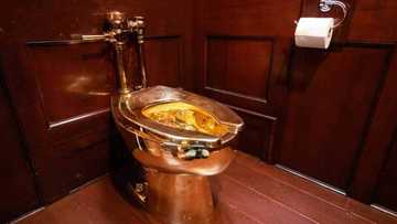 Golden toilet worth R86 million still missing two years after it was stolen