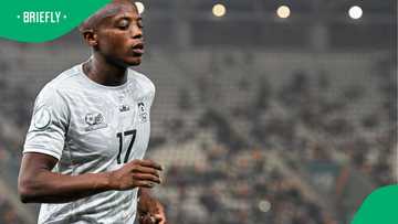 Former Orlando Pirates star Zakhele Lepasa sparks debate with bold protest message