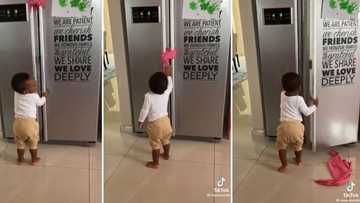 Video of mischievous little boy figuring out how to open the fridge leaves Mzansi peeps amazed by his skill