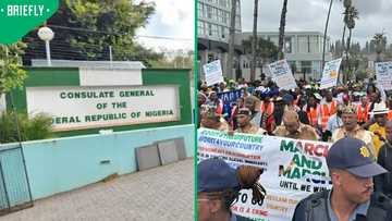 Nigeria assessing how to repatriate citizens from SA amid fears of xenophobia, South Africans debate