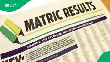 Department of Education confirms matric results will appear in newspapers despite IR objections