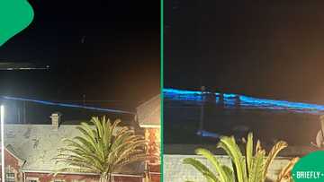 “Such amazing scenery”: Cape Town beach glows at night as bioluminescence draws huge crowd