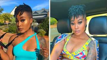 Lamiez Holworthy and celebs claps back at online bully, protecting a little fan