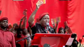 EFF plans to convert buildings in Sandton into housing for the poor, plans to improve healthcare