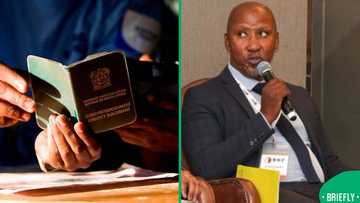 SIU exposes “visa marketplace” at Home Affairs, R181 million traced to fraud