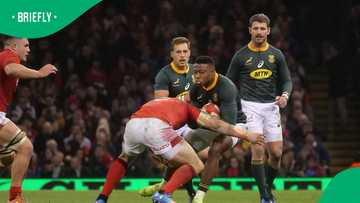 Former Springbok Aphiwe Dyantyi looks to revive career in France
