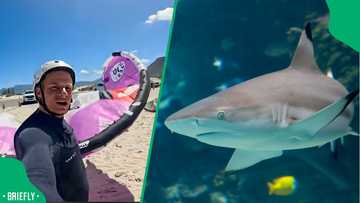 “Oh my God, I went over a shark”: Kite surfer’s close encounter with shark