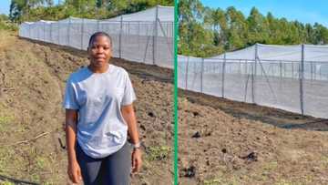 KZN woman farmer's TikTok video celebrating farm progress trends, South Africans applaud achievement