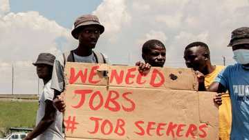 Unemployment rate declines in 1st and 2nd quarter of 2022, Quarterly Labour Force Survey finds