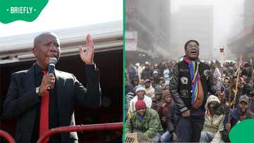 Julius Malema files additional papers against Ngizwe Mchunu after arrest warrant issued