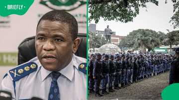 SA Police Reset Agenda endorsed nationwide, 140 high-crime stations targeted