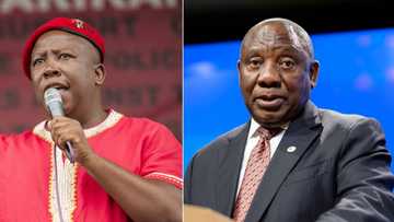 EFF's Julius Malema says President Cyril Ramaphosa is compromised by the Ruperts