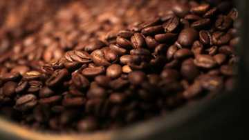 Starbucks names outgoing Reckitt leader as next CEO