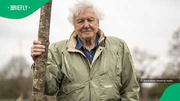 Legendary broadcaster David Attenborough celebrated worldwide on 100th birthday