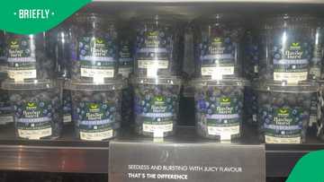 Taste Test: Woolworths get blueberries in Zimbabwe