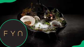 FYN Restaurant menu with fresh price updates for all courses