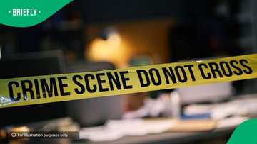 SAPS launches manhunt after 77 year-old Limpopo farmer murdered