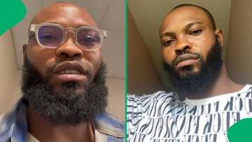 "They think a visa is citizenship": 3 Nigerian men deported from Mzansi over social media posts