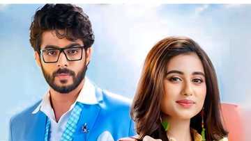 How Do I Say This Zee World: Cast, plot summary, full story, episodes