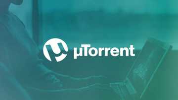 How to download a movie using uTorrent