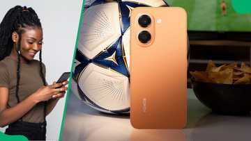 HONOR X7e: The ultimate "zero-anxiety" budget phone?