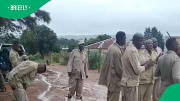 ZCC church members wear giant white shoes at gathering