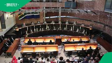 Constitutional Court rules in favour of dual citizenship, South Africans divided by latest ruling