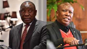 "I don't participate in rubbish": Malema ditches Ramaphosa meeting, accuses Ramaphosa of aligning with DA