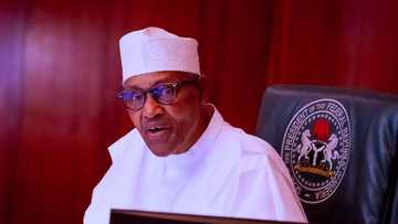Twitter ban: Nigerian government finally allows citizens to use the social media platform