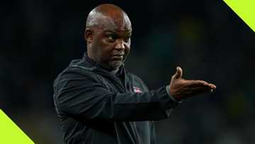 Fans call Pitso Mosimane a money chaser after being linked with a new job