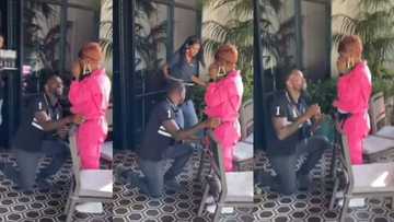 Waitress drops all champagne glasses in middle of couple’s proposal, netizens label incident bad omen