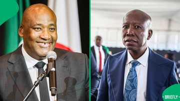 Gayton McKenzie calls EFF leader Julius Malema a fellow bank robber, minister sparks division online