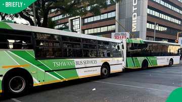 Tshwane Bus Services' depots run out of fuel, commuters urged to plan as daily shifts disrupted