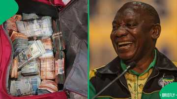 Cape Town police arrest foreign national with over R1 million, SA asks what about Phala Phala