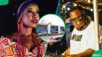 Ntsiki Mazwai and Sol Phenduka react after SIU raids R2bn Tembisa Hospital scandal suspect Hangwani Maumela