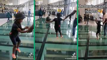 Father helps son face fear of heights at mall, video triggers peeps traumas