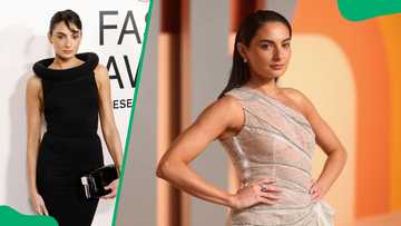 Is Joe D'Amelio Paige DeSorbo's new boyfriend? Facts you should know